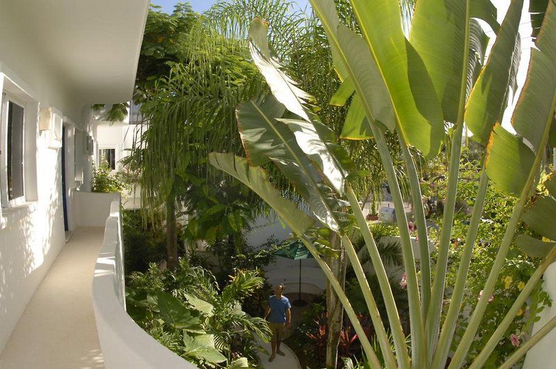 Aqualuna Boutique Hotel By Sunrise (Adults Only) Playa del Carmen Extérieur photo
